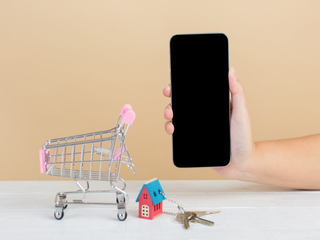 Property market. House in shopping cart